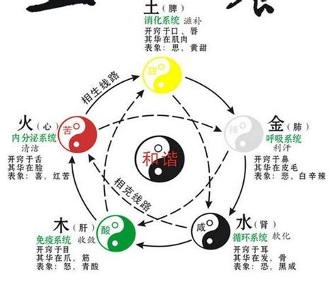 五行 味|五味与五行的正确解读